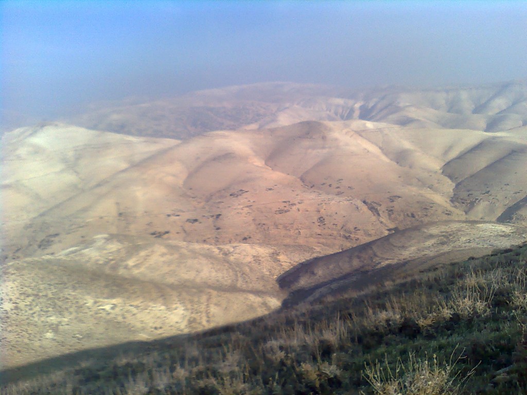 Arava Scoutisrael